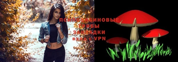 бошки Абинск